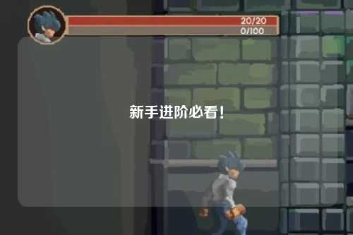 新手进阶必看!