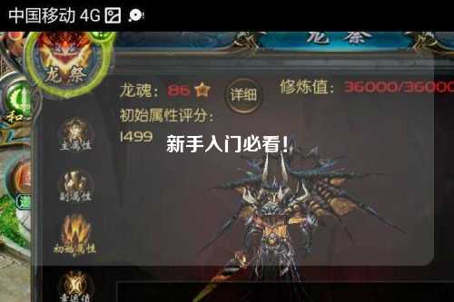 新手入门必看!